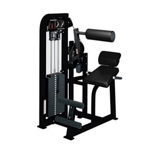 [Hot Item] Professional Muscle Development Machine with Adjustable Back Extension Features