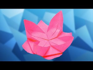 How to Fold an Origami Water Lily