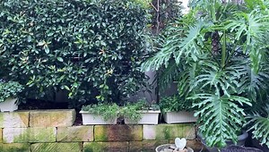 2.9K views · 613 reactions |  THANK YOU RSPCA  This video is...