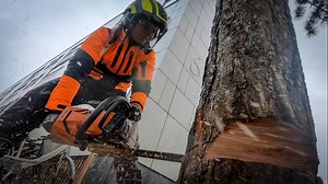 Adapting to SRT for Pine Tree Removal Easy Descent and Chunking with New Technique