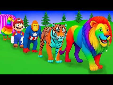 Warm November Jazz Music for Working,Great Mood 🍂 Peaceful Fall Morning at Cozy Coffee Shop Ambience