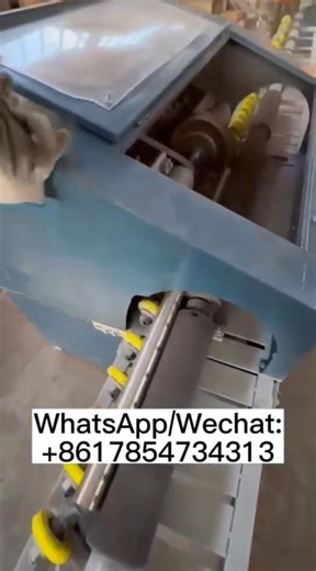 Polishing machine with dust suction function | liuerin