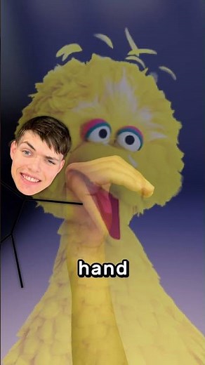 How Big Bird From Sesame Street Works 😧
