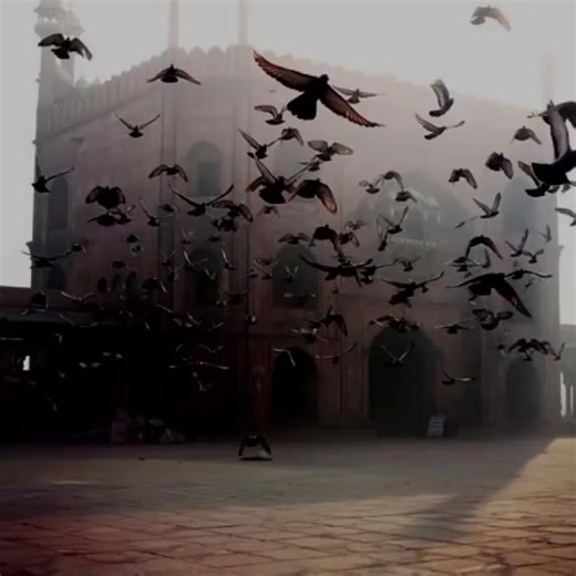 فيديوهات أنشأها reeham (@reeham1234560) باستخدام الصوت الأصلي - reeham