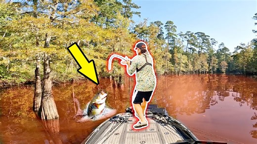 Giant fall bass shocked by lure unseen for years