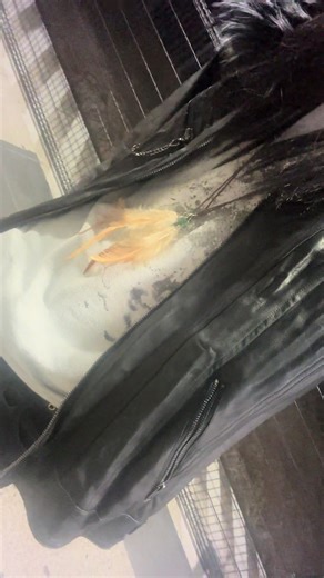 Exploring Archive Fashion Trends