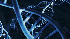Animation Of Genetic Dna Loop-able 4k Stock Motion Graphics SBV-313108220 - Storyblocks