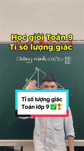 Tỉ số lượng giác của góc nhọn - Toán 9 hướng dẫn ngắn gọn