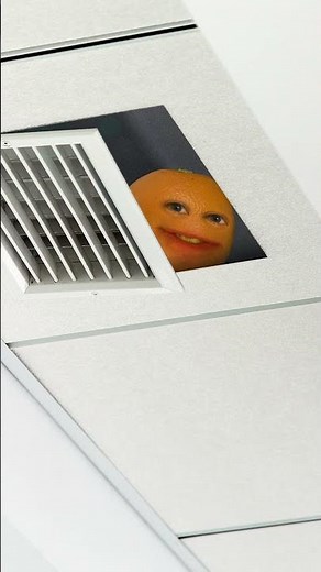 Best Sound in the World (According to Annoying Orange)