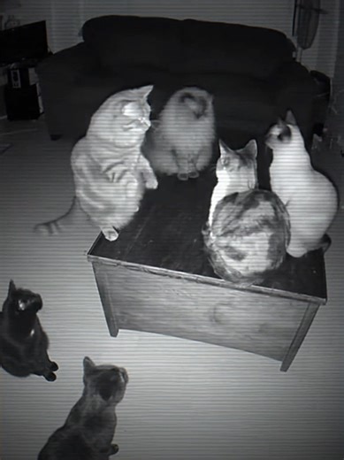 MarugunshopID: Toko Gundam dan Model Kit Terpercaya