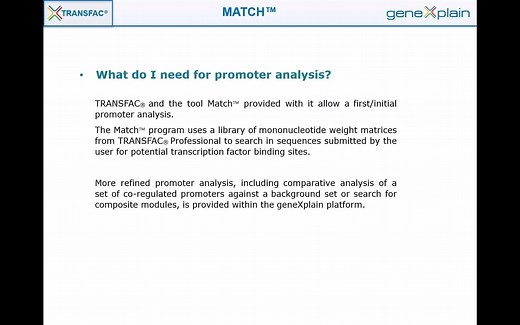 关于转录因子结合位点预测工具 -- MATCH tool 的常见问题 (2)