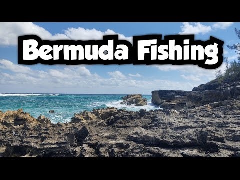 Shore Fishing in Bermuda | Bermuda Fishing 🇧🇲