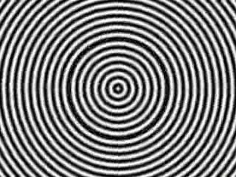 natural hallucinogen with circles