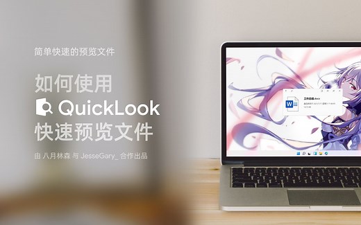 如何在Windows上使用QuickLook快速预览文件
