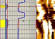 Explore the 1D geomechanics capabilities of the Techlog platform