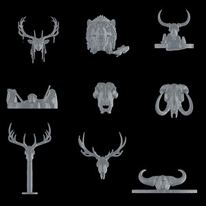 9x Prehistoric Animal Skull 3D Stl Printer Files | Ancient Nature Models - Instant Download - Etsy