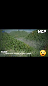 8.4K views · 129 reactions | #Pakistan Air Force Fooled by Indian...