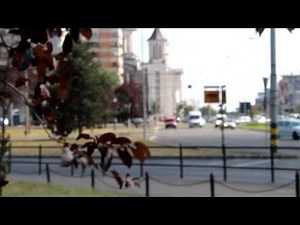 Canon EOS 1100D Video Test HD [Rebel T3]