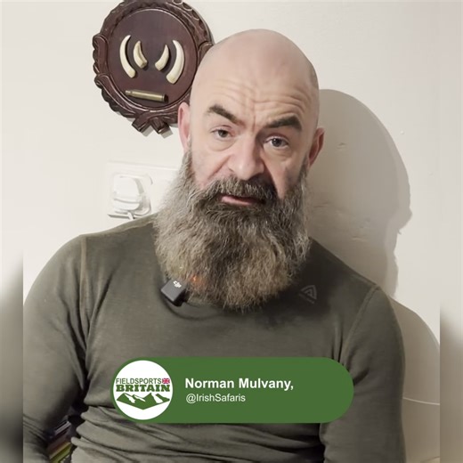 Debate is growing in Ireland over how EU rules on invasive alien species could affect the country’s sika deer population. The issue is contentious among Irish deerstalkers. Watch this week's show in full: https://www.youtube.com/watch?v=YZKjFOlhtJk | Fieldsports News