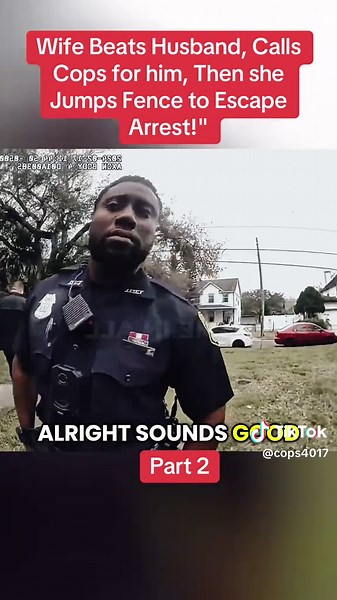 Understanding Police Interaction in Domestic Disputes