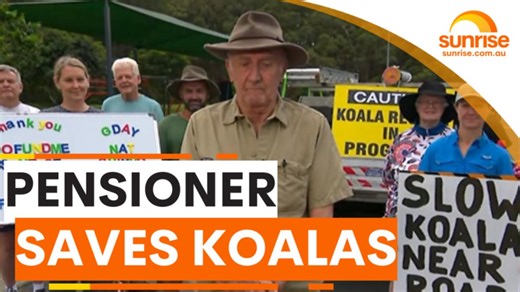 Pensioner saves koalas