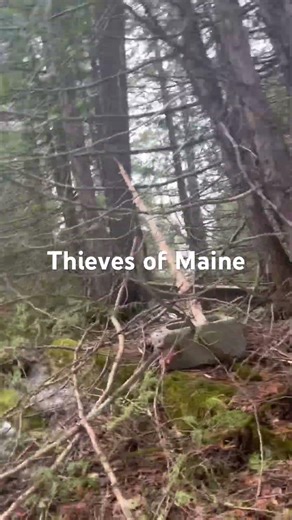 ￼finding there loot witch was gas cans and drill press they were trying to steel the power line