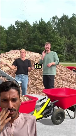 #music #cricket #lifeisbutadream