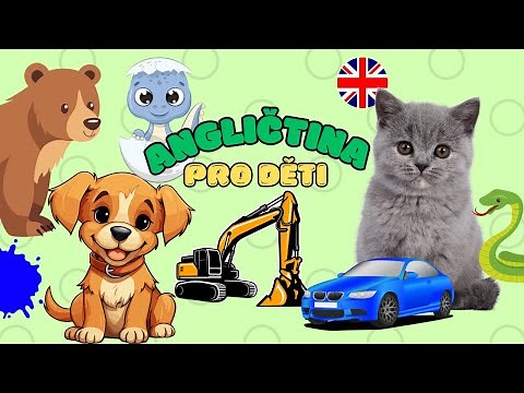 ✨ANGLIČTINA pro děti - učíme se anglicky | Zvířata, barvy a dopravní prostředky | Kompilace videí 💛