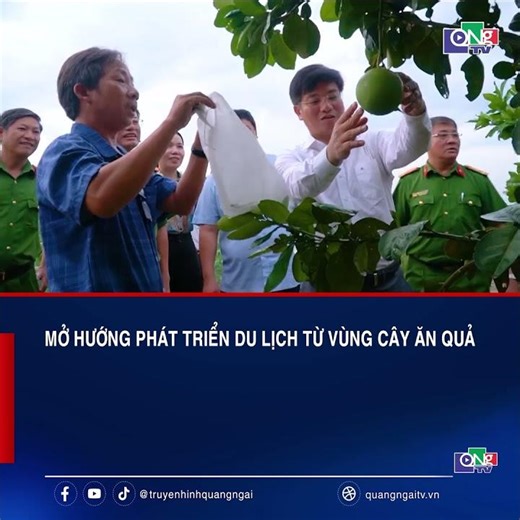 Mở hướng phát triển du lịch từ vùng cây ăn quả | QNgTV