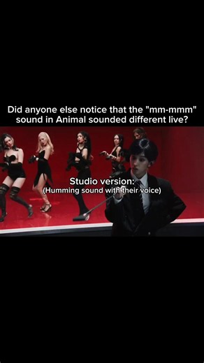 The Animal "mm-mmm" sound difference in the live performance! // #foryou #katseye #shortsfeed #feed