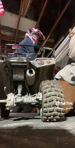 Kawasaki Brute Force 300 2023: Performance & Features