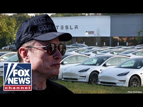 Anti-Elon Musk protesters prepare for global 'Tesla takedown' day