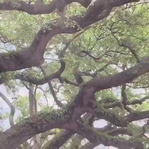 Who is ready for the finale of Ellen's design challenge on hgtv tonight at 9est?? WE ARE!! | Chip Wade