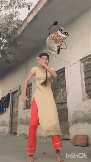 apt ptr owl funny dancing in rassi #funny #comedy #shorts #fun