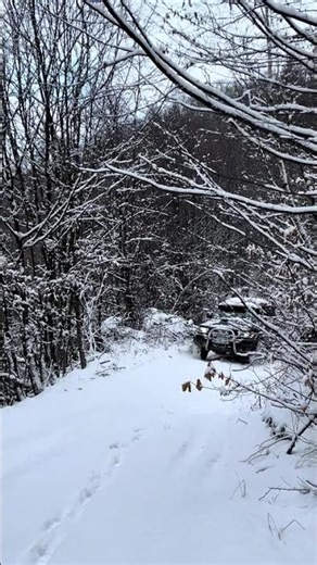 slow on snow Nissan patrol zd30