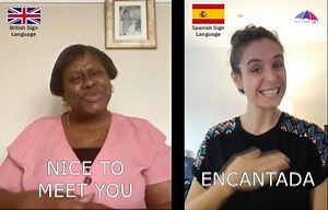 50K views · 341 reactions | Today is ⁠The International Day of Sign...