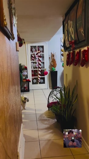 #foryoupage #parati #maestrosdetiktok #navidad #outfit | navidad outfit