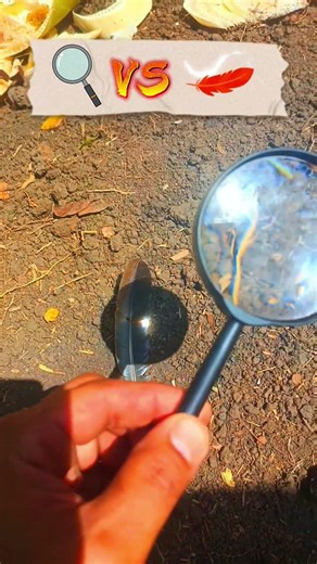 Magnifying glass experiment! 😱