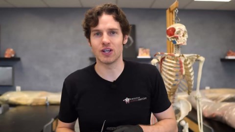 How Many Muscles It Takes to Poop