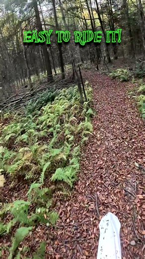 So easy to ride! - All wheel drive dirt bike - Christini AWD 250DS