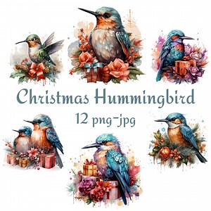 12 Hummingbird Gift Clipart, Watercolour Christmas Birds Flower Clipart, Hummingbird Clipart, Birds Beautiful Hummingbird PNG JPG - Etsy