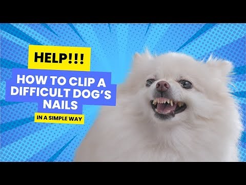 Dog Won't Let You Clip Nails? This Simple Trick Changes Everything!