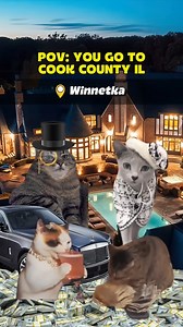 119K views · 905 reactions | Pov: you go to cook county illinois . . . #Illinois #cookcounty #travel #usa | Kitty Memes | Facebook