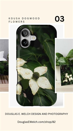 From My Shop: “Kousa Dogwood Flowers” Prints and Products!
