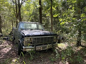1980 Ford F100 sitting for 20 years! Can it be rescued?