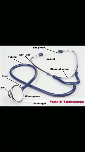 parts of stethoscope|Name of parts of stethoscope|stethoscope|@savitakumarirawat9720