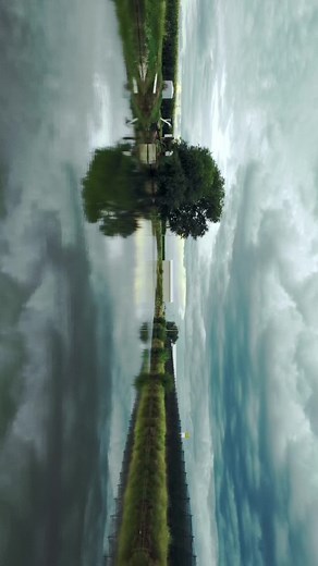 Beautiful view so i hade to make this video. #drone #flyingdrone #trees #lake #water #bluesky