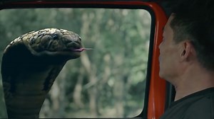 26M views · 10K reactions | The reporter group disturbed the python and was chased 记者团采风惊扰蟒蛇被追击 Movie： 蛇王2021 #蛇王2021 #玄幻 #WeTV #cdrama #movies | 企鹅爱追剧 | Facebook