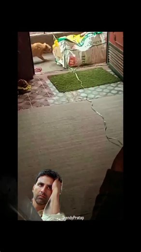 Praveen Pratap Singh on Instagram: "발매된 스페인 세비야 출신 듀오 Los del Río의 곡으로, 스페인에서 먼저 인기를 얻었지만, 이후 라틴아메리카와 미국까지 퍼져나가며 전 세계적인 메가 히트를 기록했습니다. 이 곡이 폭발적으로 퍼진 계기는 바로 1996 애틀랜타 올림픽. 당시 전 세계로 중계된 미국 여자 국가대표 체조팀의 퍼포먼스가 ‘마카레나’의 신나는 리듬과 함께 어우러지면서, 곡의 인기가 폭발적으로 확산되었습니다. 그 결과, 1996년 빌보드 핫 100 차트에서 무려 14주 연속 1위를 차지하며 역사적인 기록을 남겼고 연말 차트 1위를 비롯해 빌보드 올타임 차트 8위에도 오르는 대기록을 세웠습니다. 특히, 영어가 아닌 외국어 노래로 미국 시장에서 이 정도의 성공을 거둔 사례는 지금도 손에 꼽힙니다. 또 다른 성공 요인은 중독적인 춤. 단순하면서도 허리 움직임이 돋보이는 이 안무는 당시 남녀노소에게 큰 인기를 얻었고, 전 세계 사람들이 한 번쯤 따