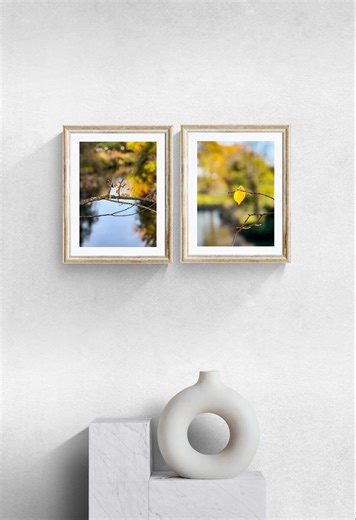 Golden Autumn Leaf Photography Prints | Macro Fall Nature Art (digital Download) - Etsy